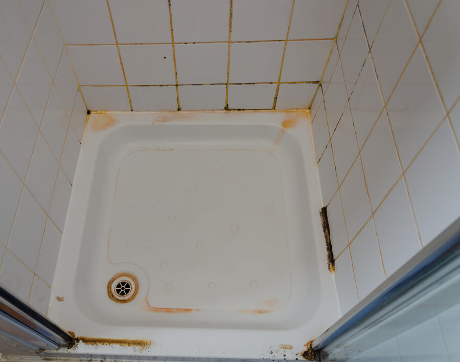 Remove mold with dehumidifier in bathroom