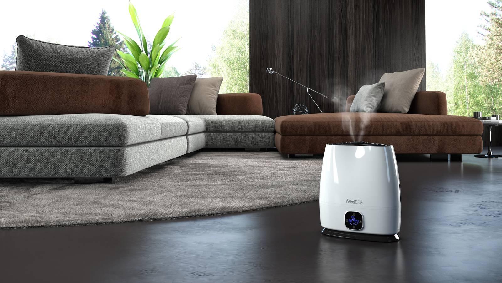 Ways to humidify an environment with tricks and use of efficient devices