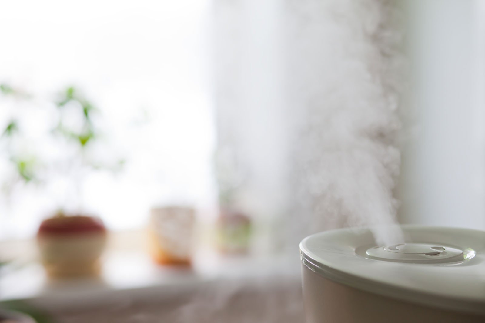 Avoid laryngitis humidifier