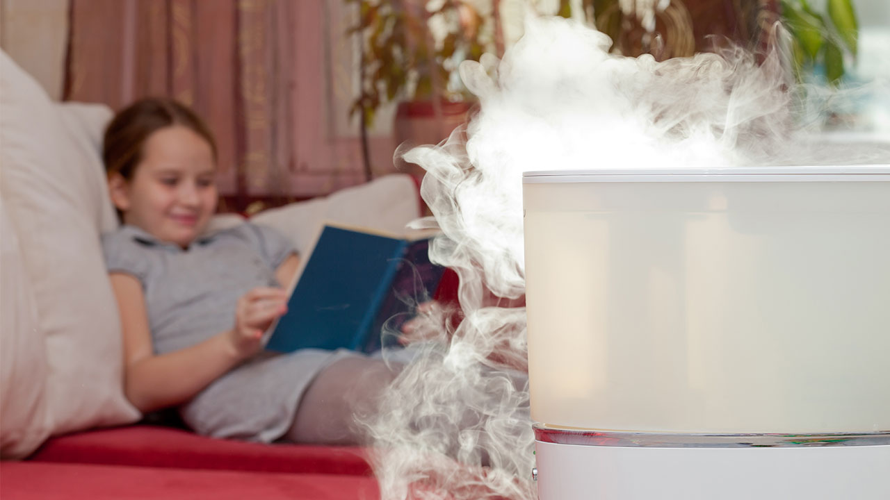 Avoid laryngitis with humidifier in the house