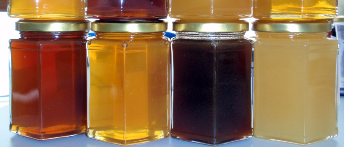 Desiccant methods through dehumidifiers and other systems for honey preservation