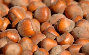 Dehumidifying systems for the correct storage of nuts