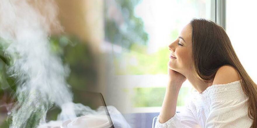 Use of the MiniFogger Humidifier: Benefits for Skin and Hair in Dry Climates
