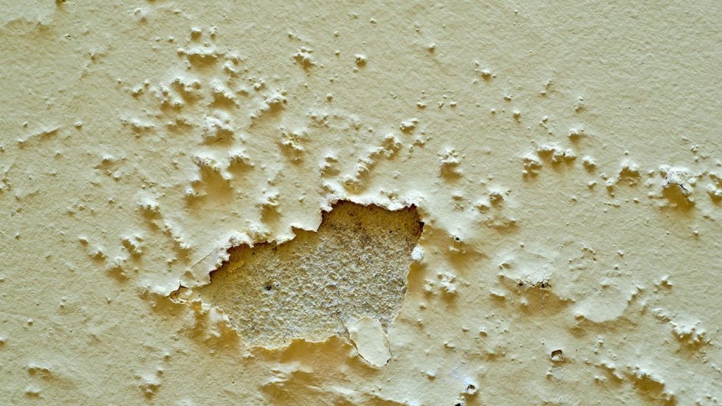 Use of Industrial Dehumidifiers to Improve Home Finishes Quality