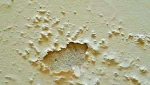 Use of Industrial Dehumidifiers to Improve Home Finishes Quality